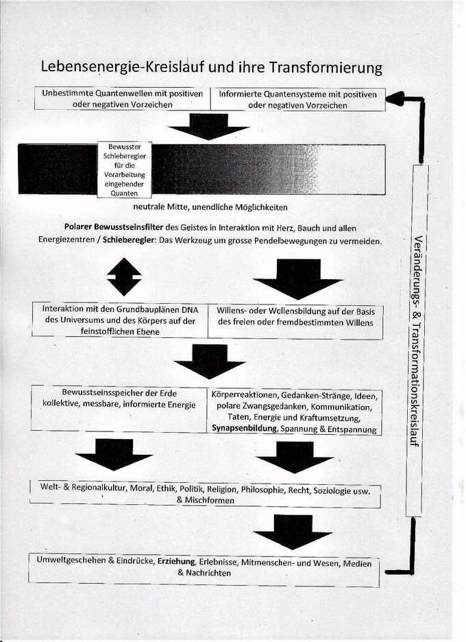 Das Diagramm, welches Daniel über den Lebensenergie Kreislauf erstellt hat. 