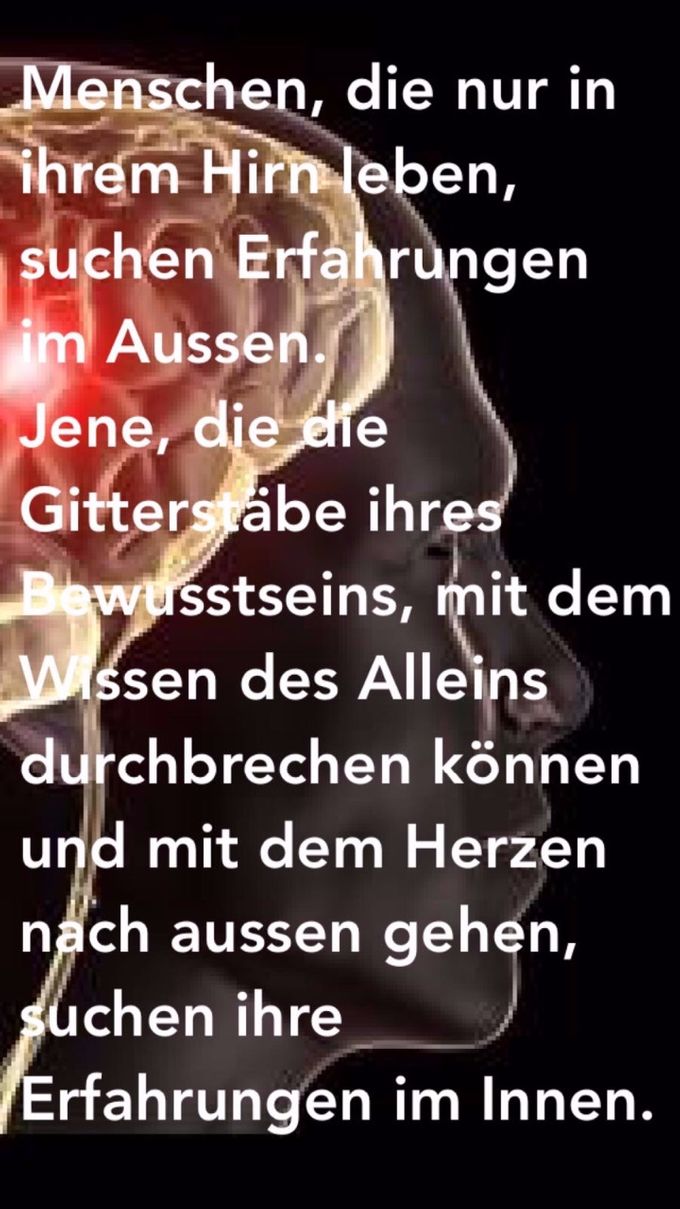 Wir alle sind viel mehr als unser Gehirn! 